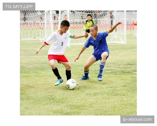 争球规则有哪些关键判定细节，裁判如何精准处理争球情况？